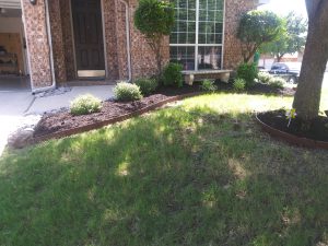 Landscaping in Keller, TX