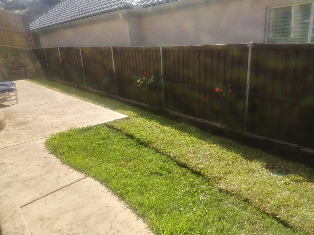 Landscaping in Keller, TX Landscaping in Keller, TX
