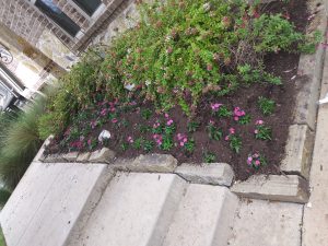 Landscaping in Keller, TX