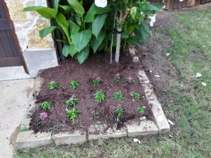 Landscaping in Keller, TX