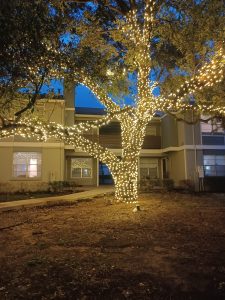 Landscaping in Keller, TX