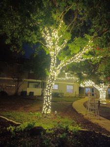 Landscaping in Keller, TX