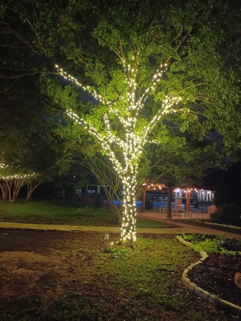 Landscaping in Keller, TX