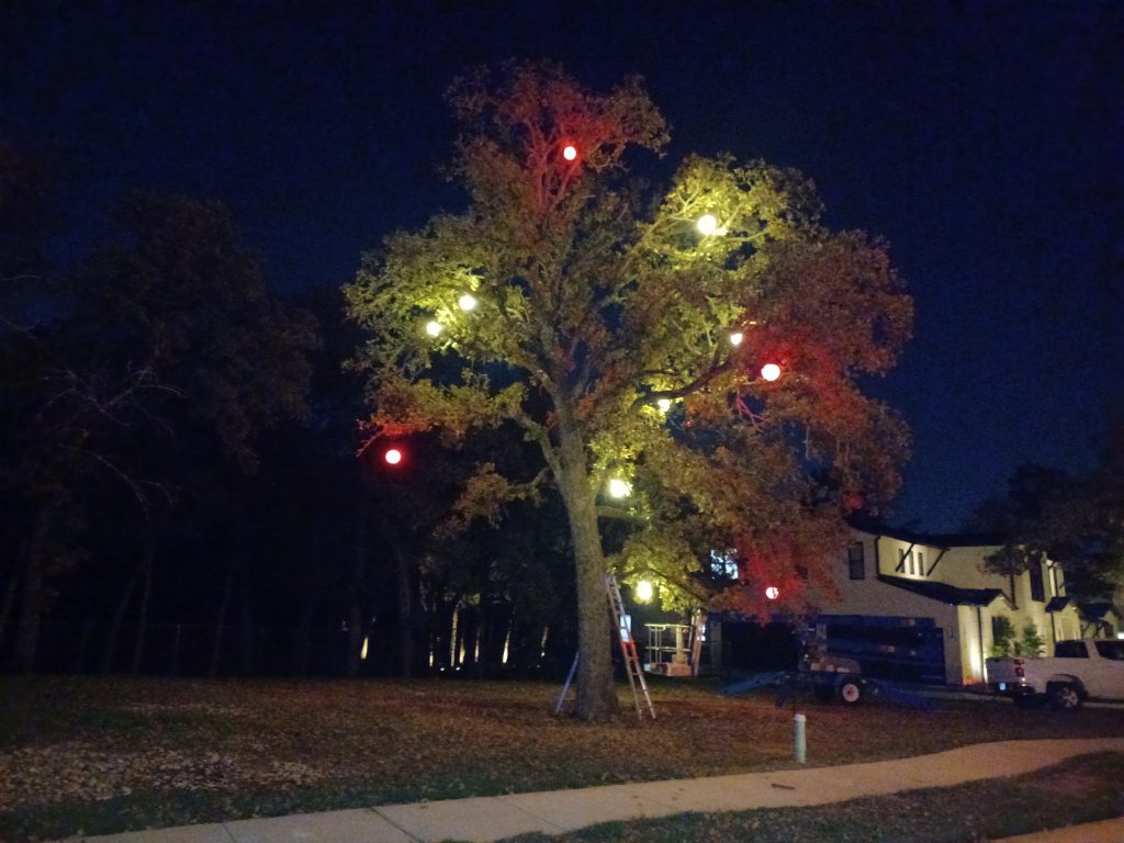 Landscaping in Keller, TX