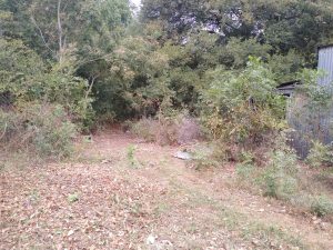 Landscaping in Keller, TX