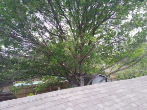 Landscaping in Keller, TX